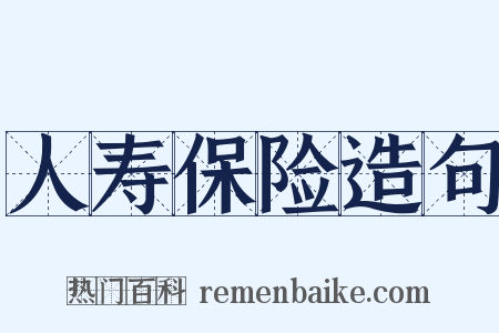 人寿保险造句是什么意思的图片